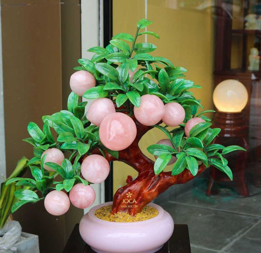 Lý Do Nên Chọn Cây Đào Đá Hồng Ngọc Phong Thủy